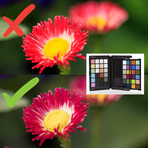 Datacolor Spyder X Capture Pro